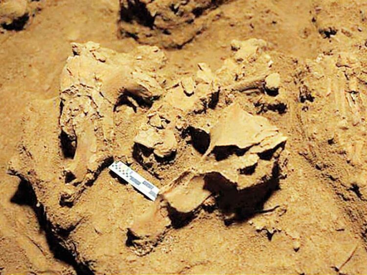 Revelan grupo desconocido de humanos; analizan ADN de esqueleto de 7 mil 200 años