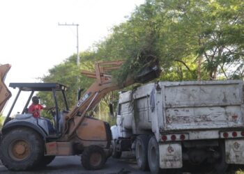 Retiran basurero clandestino en camino al Ejido La Presa, en Victoria