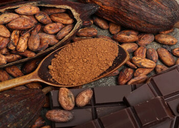 “Conociendo la industria del chocolate y la confitería”