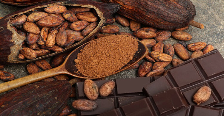 “Conociendo la industria del chocolate y la confitería”