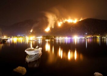 Evacuan central térmica en Turquía ante avance de gran incendio