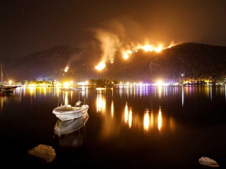 Evacuan central térmica en Turquía ante avance de gran incendio