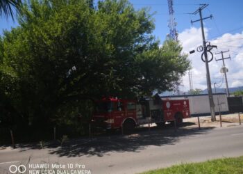 Abejas atacan a chofer de maquina