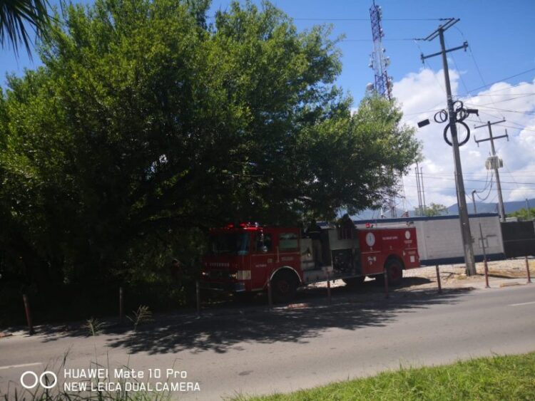Abejas atacan a chofer de maquina