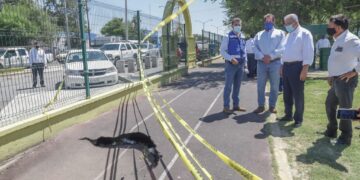 Ordena alcalde de Nuevo Laredo reparar  socavón de parque ‘Narciso Mendoza’