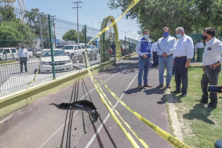 Ordena alcalde de Nuevo Laredo reparar  socavón de parque ‘Narciso Mendoza’