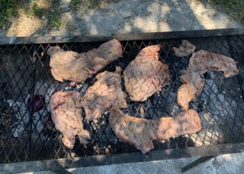 Piden a CNA investigue saqueo de agua en Palmillas