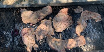 Piden a CNA investigue saqueo de agua en Palmillas