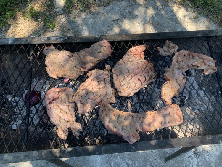 Piden a CNA investigue saqueo de agua en Palmillas