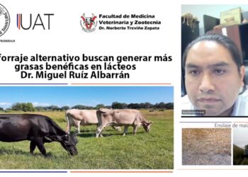 Con forraje alternativo buscan generar más grasas benéficas en lácteos