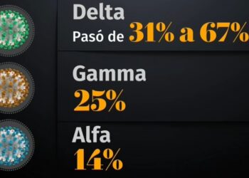 Variante Delta de covid predomina en México: OPS