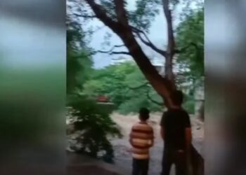 Paso de Huracán Nora deja a un menor sin vida