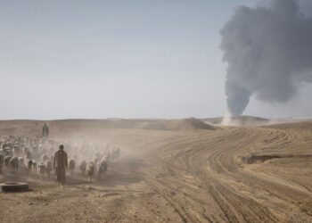 Expanden grupos subversivos presencia en África: ONU