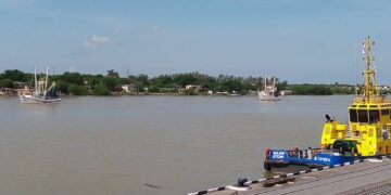 Concluye la veda de camarón; salen a la mar más de 180 barcos