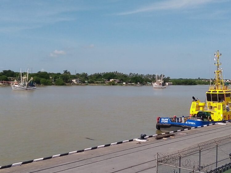 Concluye la veda de camarón; salen a la mar más de 180 barcos