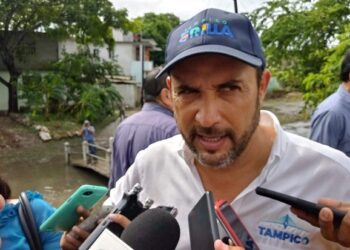 Pedirán al próximo trienio porteño continuidad al programa de contenedores de basura