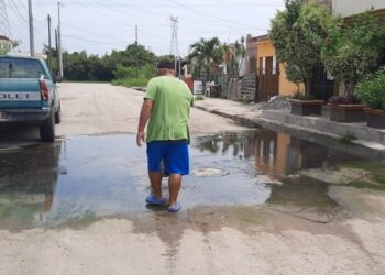 Entre aguas negras viven en Fracc. Arboledas de Altamira