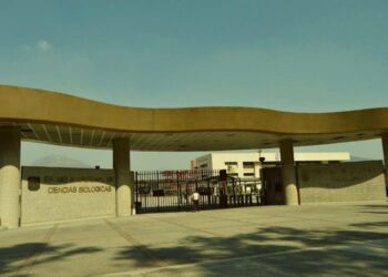 Instituto Politécnico Nacional lidera desarrollo de vacuna contra el Chikungunya