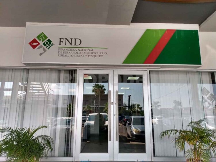 Financiera Nacional de Desarrollo presenta esquema para potenciar remesas