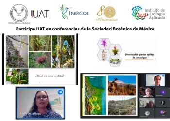 Participa UAT en conferencias de la Sociedad Botánica de México