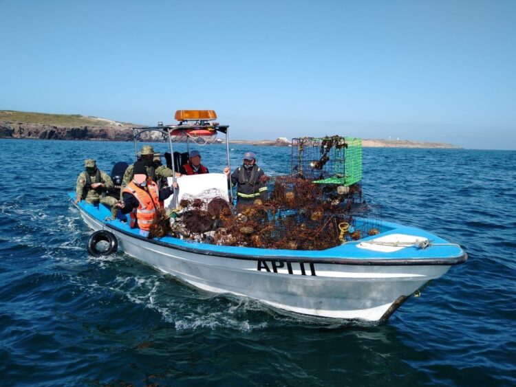 Refuerzan inspección y vigilancia por pesca de camarón en Tamaulipas