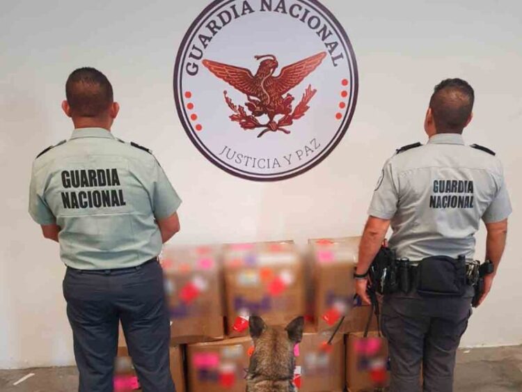 Guardia Nacional detecta en Nuevo León 140 kg. de peyote que iría a Tailandia