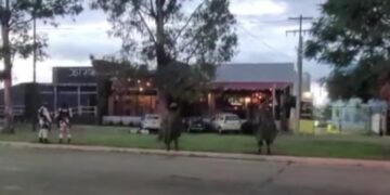 Atentado en bar con explosivos es un ataque terrorista sin precedentes en Guanajuato