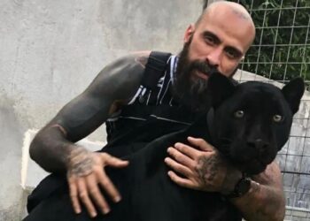 Criticas fueron las que recibió el Babo después de publicar un tik tok bañando a su pantera.