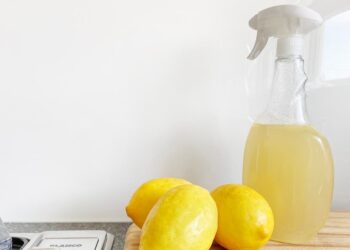 Beneficios del uso del Vinagre