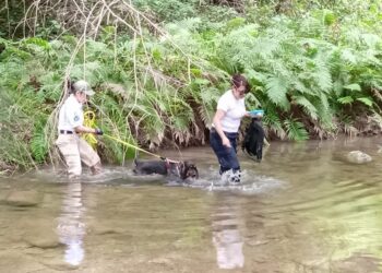 Capacitan a binomios caninos de la Fiscalía General de Tamaulipas