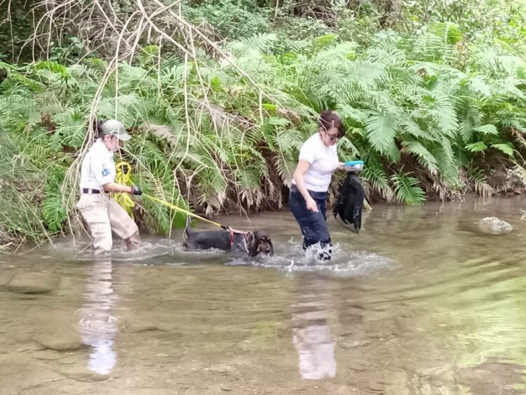 Capacitan a binomios caninos de la Fiscalía General de Tamaulipas