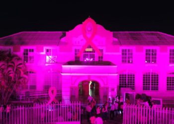 DIF Victoria activa campaña rosa de Lucha contra Cáncer de Mama