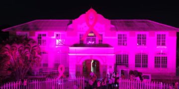 DIF Victoria activa campaña rosa de Lucha contra Cáncer de Mama