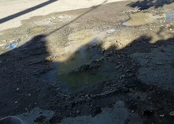 Los problemas en el fraccionamiento las flores.