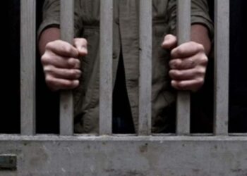 Hombre mata a 5 de su familia en Juárez, Nuevo León