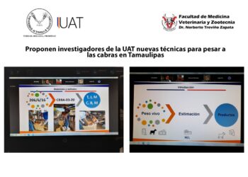 Evalúan nuevas técnicas de apoyo a la producción de cabra criolla