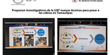 Evalúan nuevas técnicas de apoyo a la producción de cabra criolla