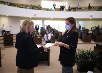 Diputados morenos exhortan a Cabeza de Vaca a que firme el INSABI