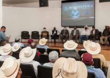 Da Agricultura precio de referencia de azúcar base estándar para pagar caña de zafra 2020-2021