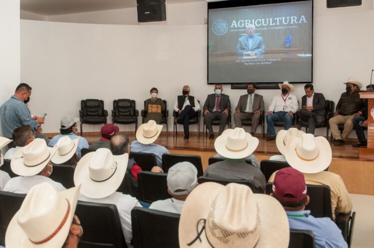 Da Agricultura precio de referencia de azúcar base estándar para pagar caña de zafra 2020-2021