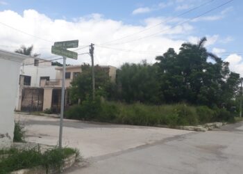 Llaman a Gattás a velar por limpieza de lotes urbanos baldíos en Victoria