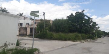 Llaman a Gattás a velar por limpieza de lotes urbanos baldíos en Victoria