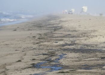 Derrame de petróleo causa desastre ambiental en costas de California
