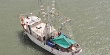 Reactivan trabajo para más de 2 mil despicadoras de camarón