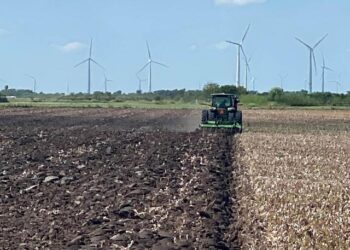 Supervisan eliminación de residuos de cultivo de algodón en Tamaulipas
