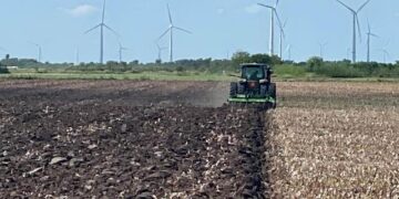 Supervisan eliminación de residuos de cultivo de algodón en Tamaulipas