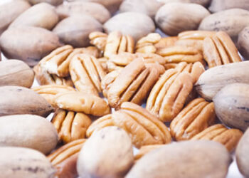 México, segundo exportador mundial de nuez pecanera sin cáscara