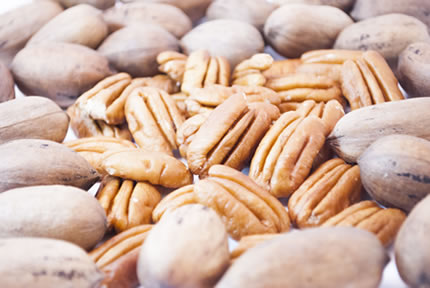 México, segundo exportador mundial de nuez pecanera sin cáscara