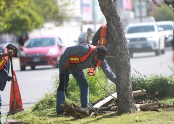 Realiza Ayuntamiento de Victoria jornada de limpieza en áreas públicas