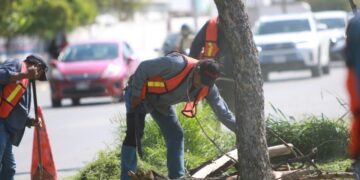 Realiza Ayuntamiento de Victoria jornada de limpieza en áreas públicas